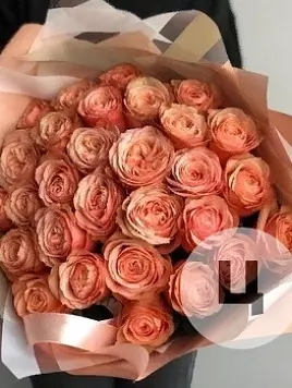 Букет из 25 роз сорта Kahala